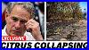 Governor_Of_Texas_Breaks_Down_Over_The_Citrus_Industry_Collapse_01_kgb